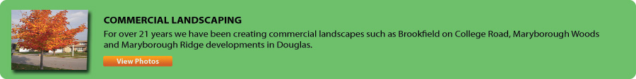 Commercial Landscaping Photos